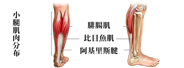 腿脖子塑成