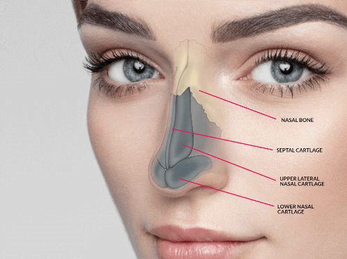 隆鼻手術鼻整形完整介紹 台北亞緻TaipeiArts