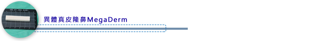 異體真皮隆鼻MegaDerm