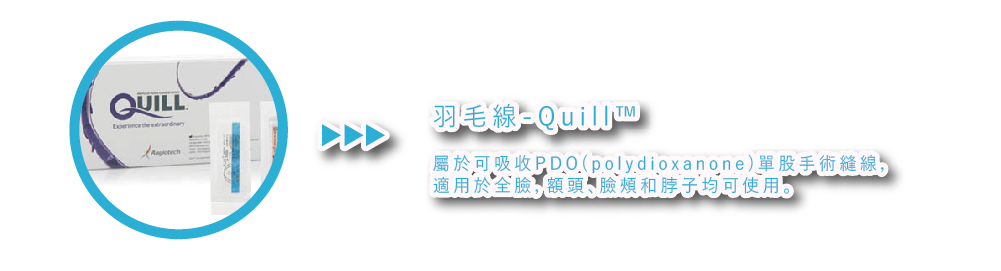 Quill 羽毛線